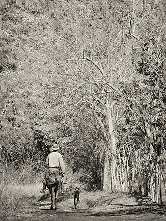 Countryside 1
