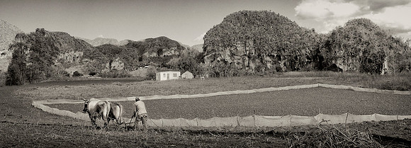 Plowing 2