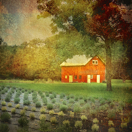 Red Barn